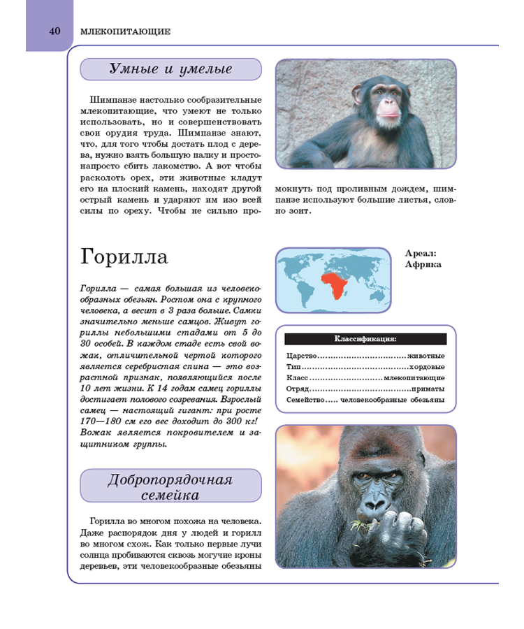 Животные. Книга энциклопедия для детей — изображение 3