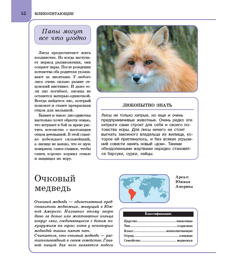 Животные. Книга энциклопедия для детей — изображение 4