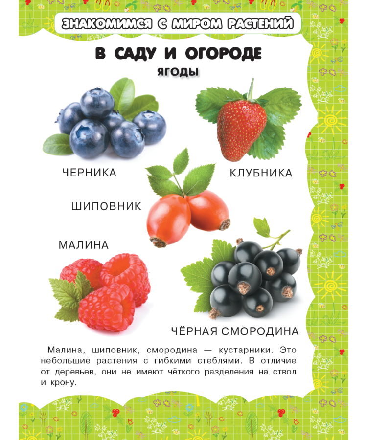 Моя первая энциклопедия для девочек — изображение 5