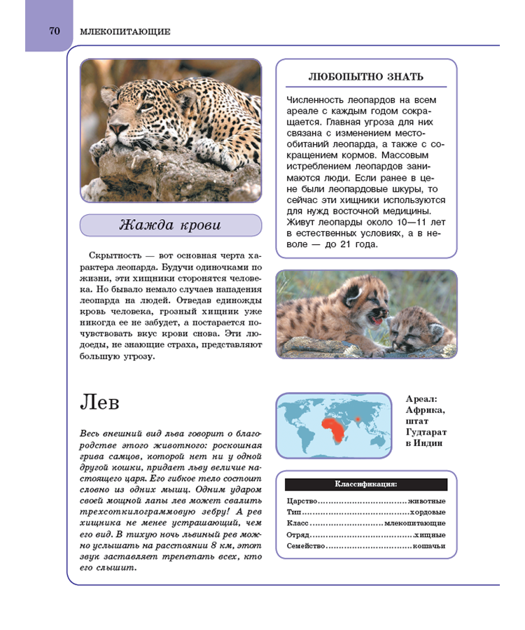 Животные. Книга энциклопедия для детей — изображение 5