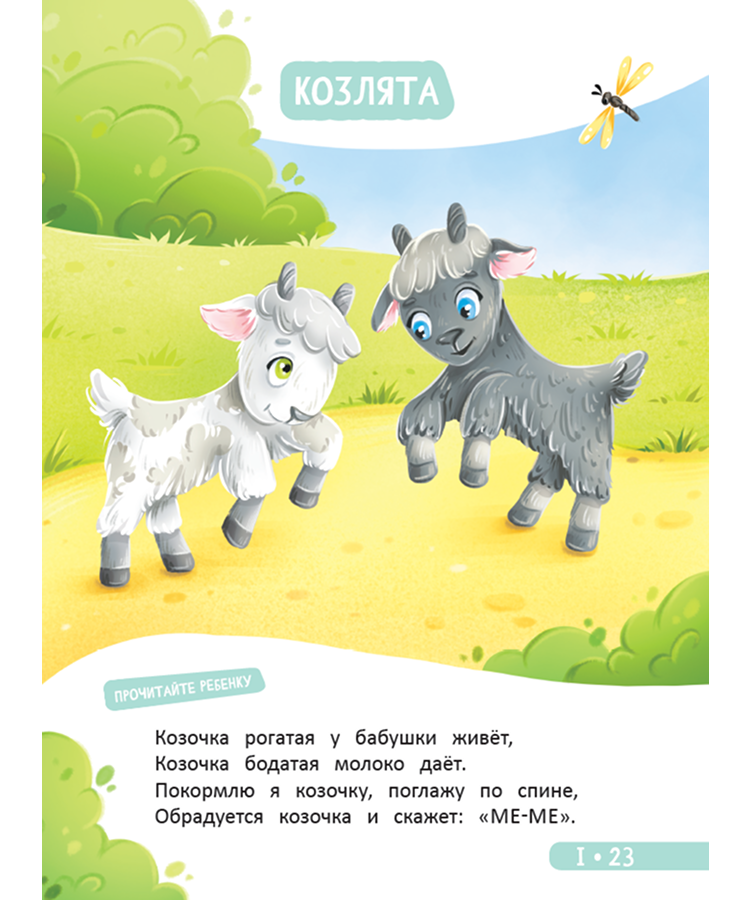 Книга для детей. Развитие малыша. Семья, домашние животные — изображение 6