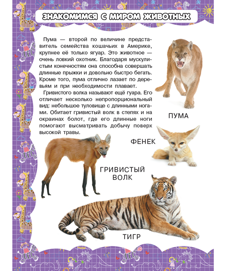 Моя первая энциклопедия для девочек — изображение 6