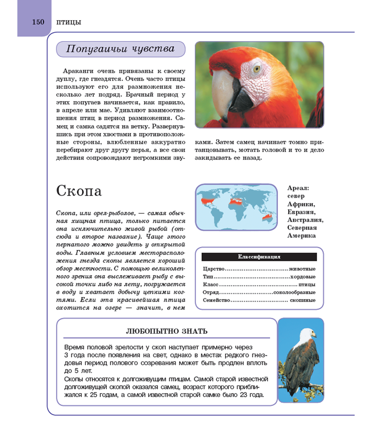 Животные. Книга энциклопедия для детей — изображение 6